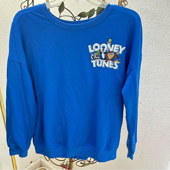 Looney Tunes Women's Blue Crewneck "Thats All Folks" Sweatshirt Size M - Picture 1 of 5